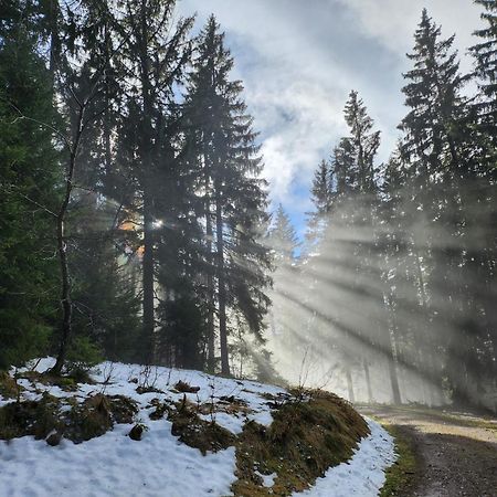 Ferienwohnung Herzlicht Titisee-Neustadt Esterno foto