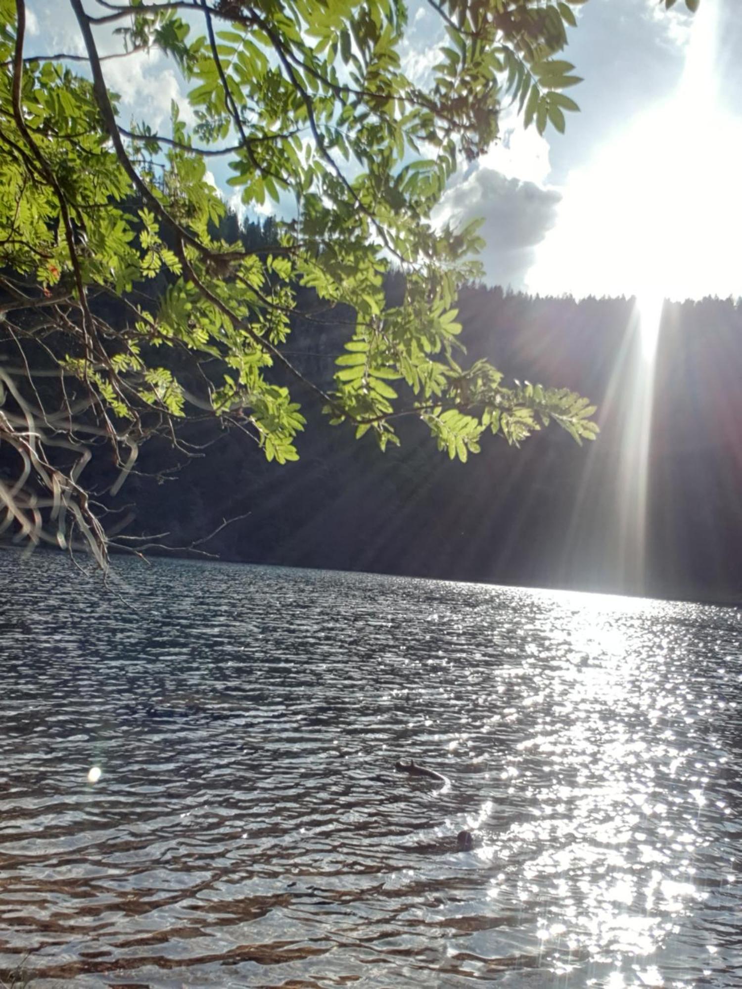 Ferienwohnung Herzlicht Titisee-Neustadt Esterno foto