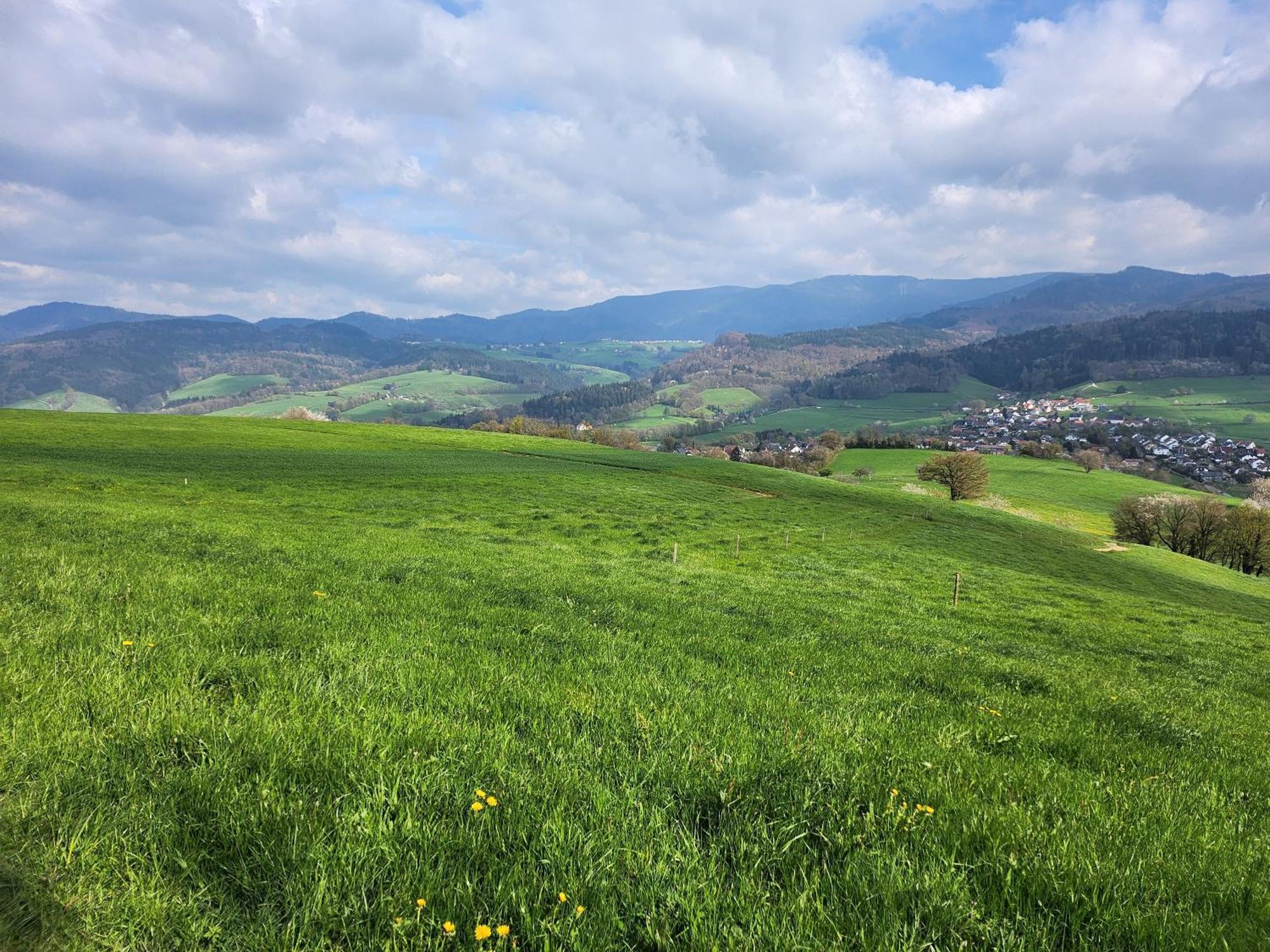 Ferienwohnung Herzlicht Titisee-Neustadt Esterno foto