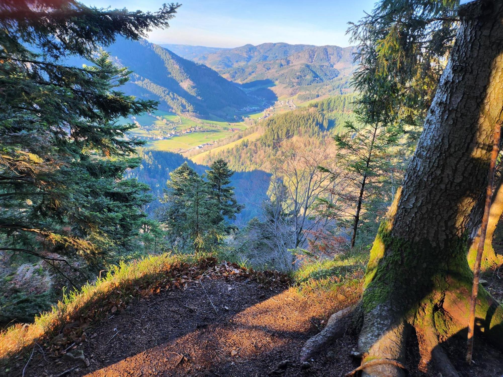 Ferienwohnung Herzlicht Titisee-Neustadt Esterno foto